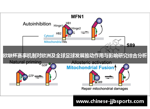 欧联杯赛事机制对欧洲及全球足球发展推动作用与影响研究综合分析 欧联杯赛事机制对欧洲及全球足球发展推动作用与影响研究综合分析